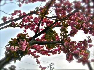 �Ƃ肠������