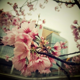 �J���B